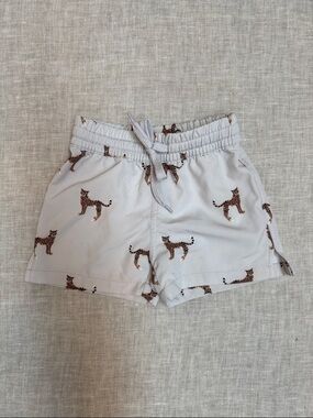 Jamie Kay Boys 1YR Cheetah Swim Trunks